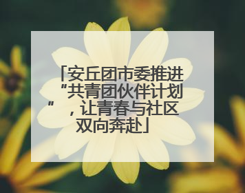 安丘团市委推进“共青团伙伴计划”，让青春与社区双向奔赴