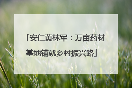 安仁黄林军：万亩药材基地铺就乡村振兴路