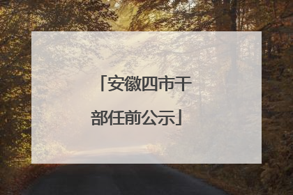 安徽四市干部任前公示