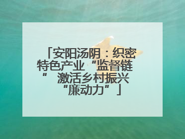 安阳汤阴：织密特色产业“监督链” 激活乡村振兴“廉动力”