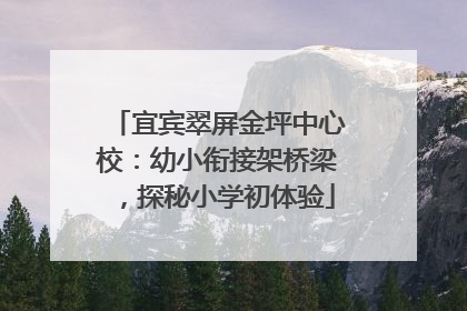 宜宾翠屏金坪中心校：幼小衔接架桥梁，探秘小学初体验