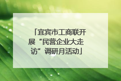 宜宾市工商联开展“民营企业大走访”调研月活动