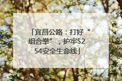 宜昌公路：打好“组合拳”，护牢S254安全生命线