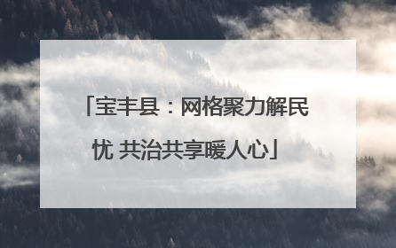 宝丰县：网格聚力解民忧 共治共享暖人心