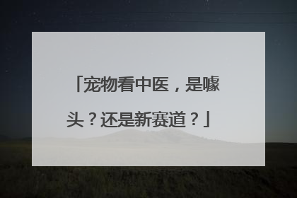 宠物看中医，是噱头？还是新赛道？