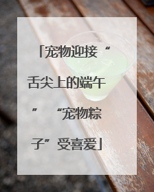 宠物迎接“舌尖上的端午” “宠物粽子”受喜爱