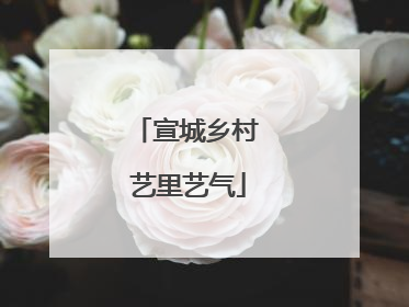 宣城乡村 艺里艺气
