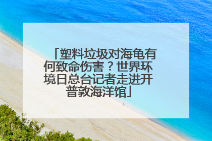 塑料垃圾对海龟有何致命伤害？世界环境日总台记者走进开普敦海洋馆