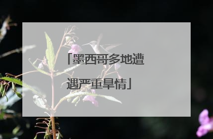 墨西哥多地遭遇严重旱情