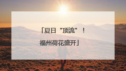 夏日“顶流”！福州荷花盛开