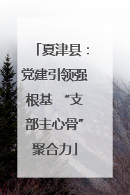 夏津县：党建引领强根基 “支部主心骨”聚合力