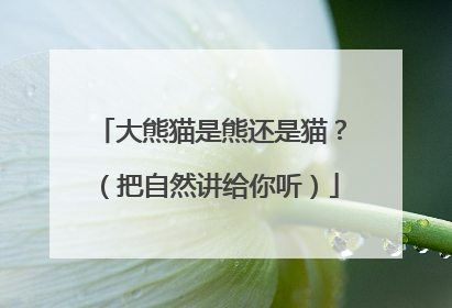大熊猫是熊还是猫？（把自然讲给你听）