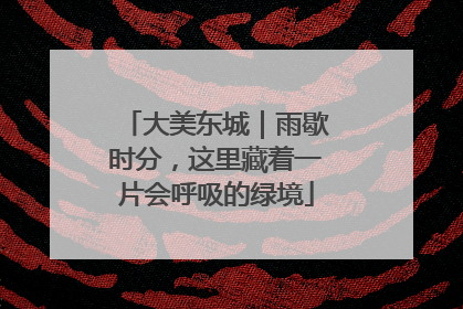 大美东城｜雨歇时分，这里藏着一片会呼吸的绿境