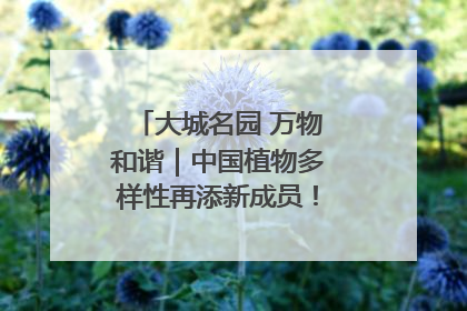 大城名园 万物和谐｜中国植物多样性再添新成员！它只在西藏墨脱