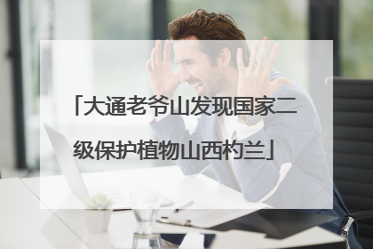大通老爷山发现国家二级保护植物山西杓兰