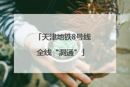 天津地铁8号线全线“洞通”