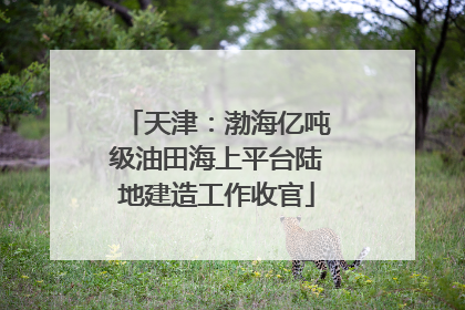 天津：渤海亿吨级油田海上平台陆地建造工作收官