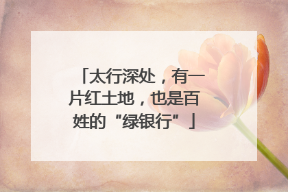 太行深处，有一片红土地，也是百姓的“绿银行”