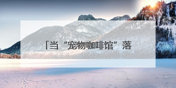 当“宠物咖啡馆”落户北京10号线“青创村”：在“卷”与“躺”之间，他们找到了第三种生活公式