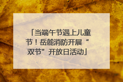当端午节遇上儿童节！岳麓消防开展“双节”开放日活动
