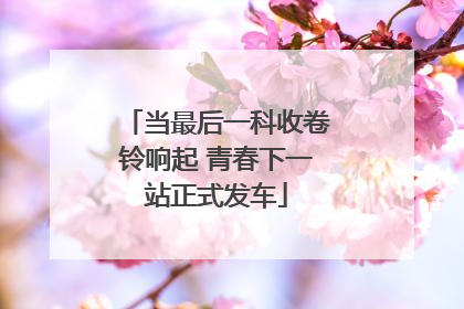 当最后一科收卷铃响起 青春下一站正式发车