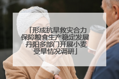 形成抗旱救灾合力 保障粮食生产稳定发展 丹阳多部门开展小麦受旱情况调研