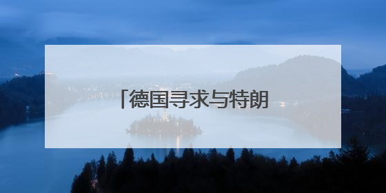 德国寻求与特朗普政府协调涉乌克兰问题立场