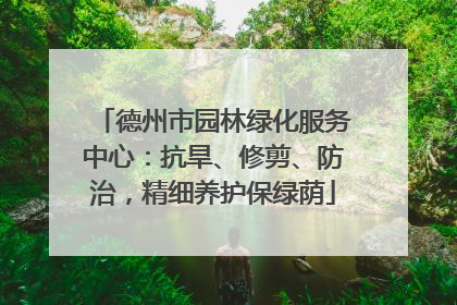 德州市园林绿化服务中心：抗旱、修剪、防治，精细养护保绿荫