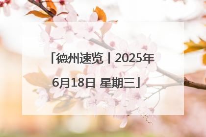 德州速览丨2025年6月18日 星期三