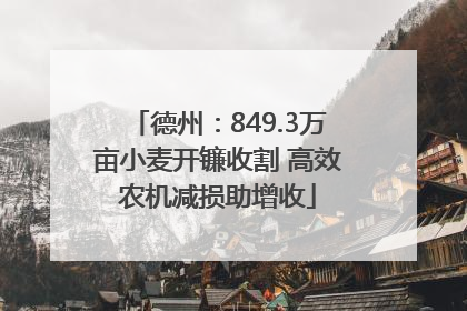 德州：849.3万亩小麦开镰收割 高效农机减损助增收