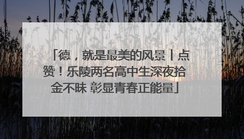 德，就是最美的风景丨点赞！乐陵两名高中生深夜拾金不昧 彰显青春正能量