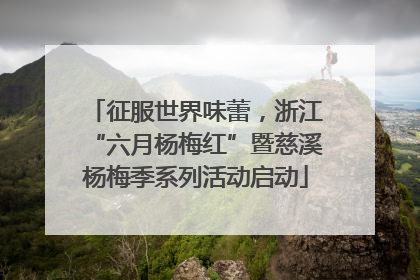 征服世界味蕾，浙江“六月杨梅红”暨慈溪杨梅季系列活动启动