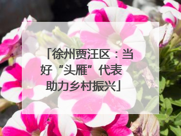 徐州贾汪区：当好“头雁”代表 助力乡村振兴