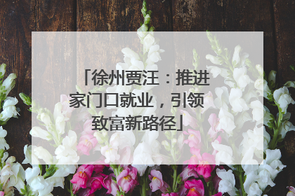 徐州贾汪：推进家门口就业，引领致富新路径