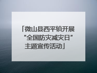 微山县西平镇开展“全国防灾减灾日”主题宣传活动