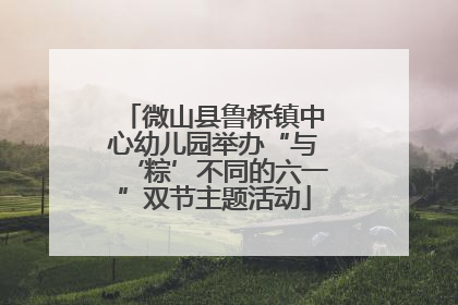 微山县鲁桥镇中心幼儿园举办“与‘粽’不同的六一”双节主题活动