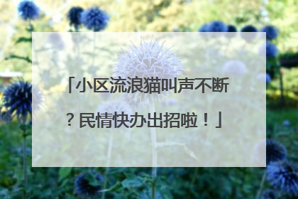 小区流浪猫叫声不断？民情快办出招啦！