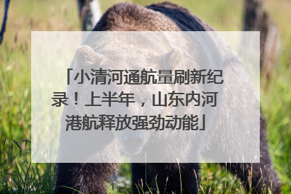 小清河通航量刷新纪录！上半年，山东内河港航释放强劲动能