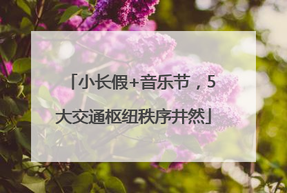 小长假+音乐节，5大交通枢纽秩序井然