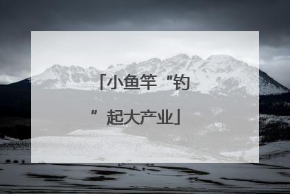小鱼竿“钓”起大产业
