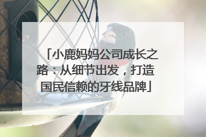 小鹿妈妈公司成长之路：从细节出发，打造国民信赖的牙线品牌