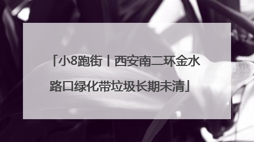 小8跑街丨西安南二环金水路口绿化带垃圾长期未清