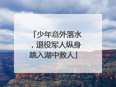 少年意外落水，退役军人纵身跳入湖中救人