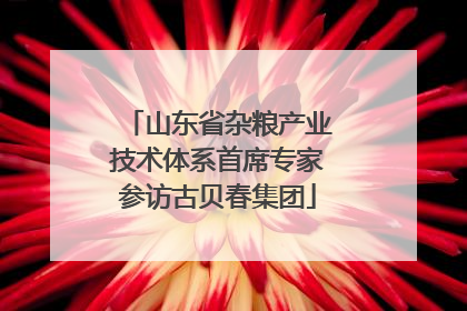 山东省杂粮产业技术体系首席专家参访古贝春集团