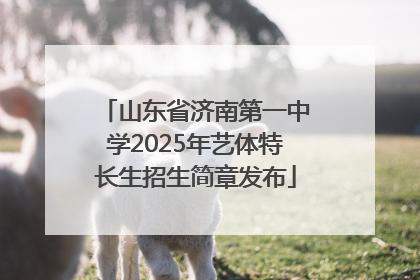 山东省济南第一中学2025年艺体特长生招生简章发布