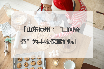 山东德州：“田间警务”为丰收保驾护航