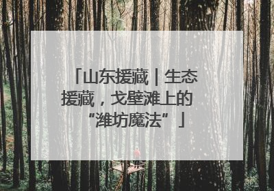 山东援藏｜生态援藏，戈壁滩上的“潍坊魔法”