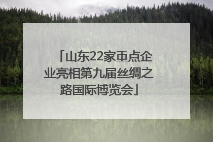 山东22家重点企业亮相第九届丝绸之路国际博览会
