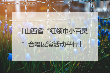 山西省“红领巾小百灵”合唱展演活动举行