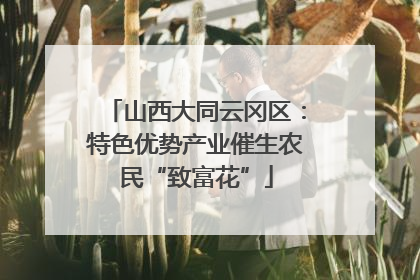 山西大同云冈区：特色优势产业催生农民“致富花”